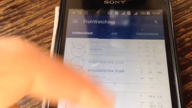 Американский сомик смотреть онлайн