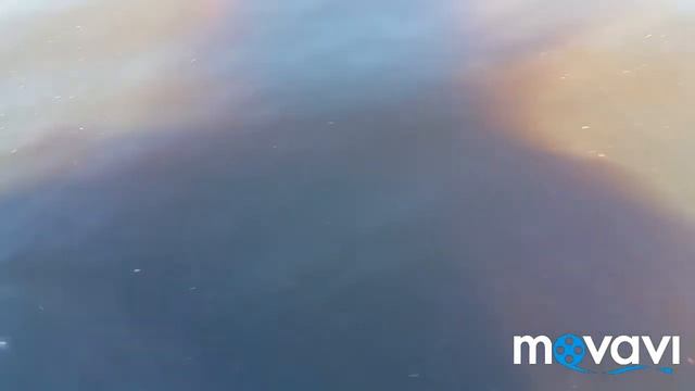 Поездка на завод осетровых рыб "Диана" в п. Кадуй, Вологодская обл. смотреть онлайн