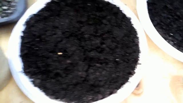 Подвязываю кивано. смотреть онлайн