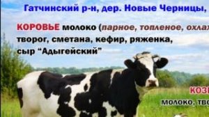 Крестьянско-фермерское хозяйство "Кузьмич Т.Б." в Гатчинском районе Ленинградской области
