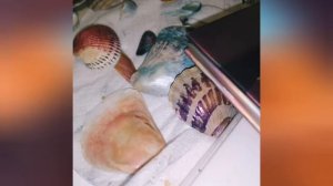 панно из ракушек