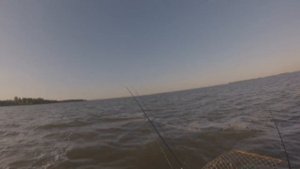 Рыбалка на обском водохранилище с лодки в районе Борового. Рыбалка на джиг в Боровом на ОВХ.