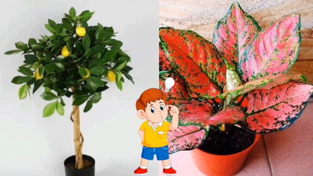 Дидактична гра "Протилежності" смотреть онлайн