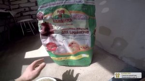 СУТОЧНЫЙ БРОЙЛЕР КОМБИКОРМ старт  от 0 до 10 дней - zolotyeruki