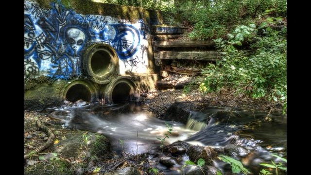 Окружающий мир 1 класс ч.2, "Почему мы часто слышим слово "экология"?", с.74-75, Школа России смотреть онлайн