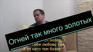 Огней так много золотых || КАРАОКЕ на гармони