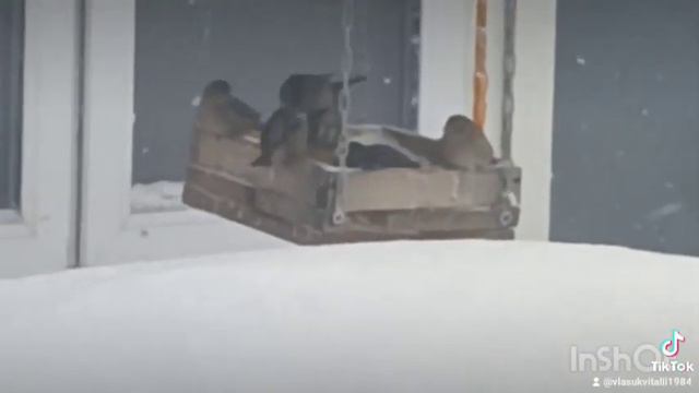 Всех со старым новым годом смотреть онлайн