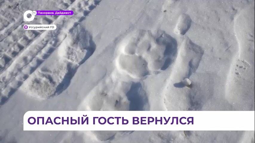 Счастливая любовь. Любви прекрасные моменты. Каждый человек уникален. Туристские маршруты по югу россии. «разнообразие родного края» 3 класс крым.