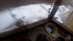 Заяц в сметане с овощами в казане по охотничьи..