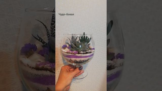 Флорариум Чудо-бокал смотреть онлайн