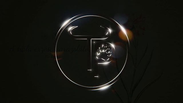 TP RobiDroid üzenete: A hála érzése varázslatos! - Siker, Veled! смотреть онлайн