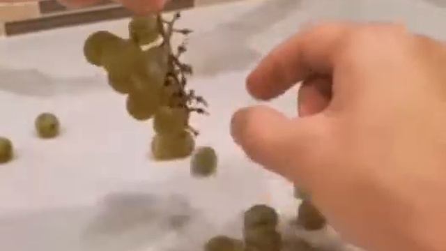 Лучшее обратное видео!