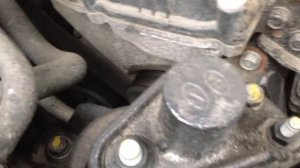 Скрипит ремень? Про WD40 даже не думайте!