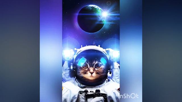 Скриптонит-Темно