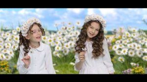 Ромашки - «Индиго».