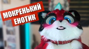 Мокренький енотик. Фурри прогулка в Москве