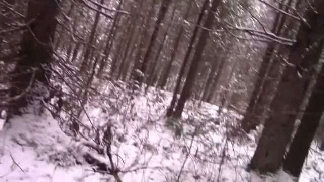 2 подъема, 2 зайца Добыли с Пургой! / Зимняя Охота на Зайца Беляка смотреть онлайн