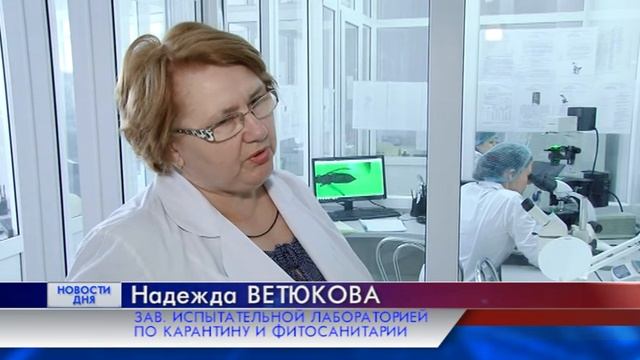 ФЕРОМОННЫЕ ЛОВУШКИ