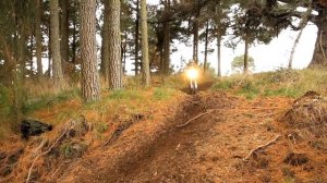 WR450F vs 450 EXC vs RMX450Z vs FE450 vs TE449