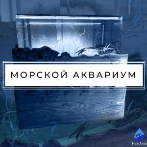 Морской аквариум из стеклопакетов. Содержание крабов и лобстеров в ресторане.