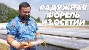 Ловись, рыбка, большая и маленькая! Осетинская форель завоевывает рынок