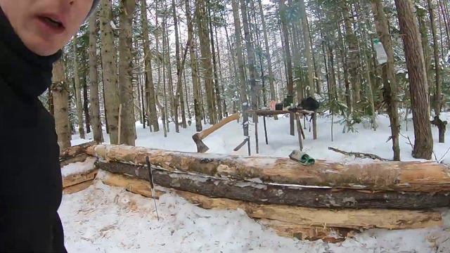 ДОМ В ЛЕСУ ИЗ ВАЛЕЖНИКА! четвертый выпуск(Все только начинаеться)