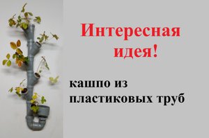 Цветочный горшок из канализационных труб.