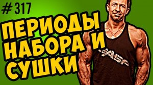 поддержание формы. периоды набора и сушки