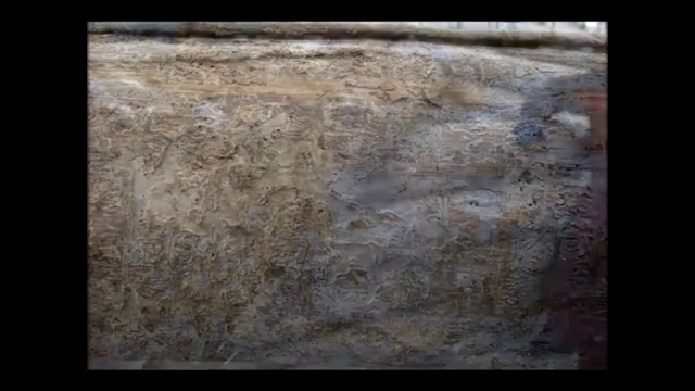 Поверхности сухарника