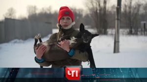 «ЧП»: 28 февраля 2023 года | «Чрезвычайное происшествие» на НТВ