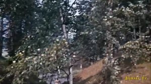 Вдоль да по речке - Хор Донских Казаков под управлением Сергея Жарова