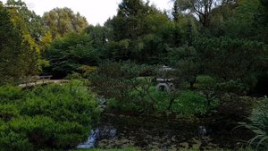 Уголок Японии в Москве. Японский сад. Чудесная прогулка