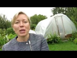 ВЛОГ #18 Алёнин сад 2017 / Музей соломы, видео от зрителя, курсы, фасоль, перец...