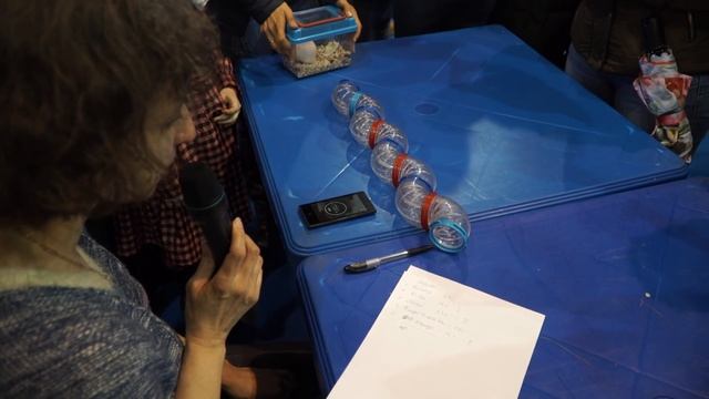 «Усатые Звезды XV» – выставка декоративных крыс и других домашних животных. Продолжение. смотреть онлайн