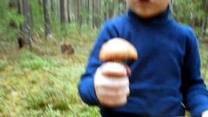 Путешествие на грибную полянку! Правила безопасности в лесу для родителей и детей!