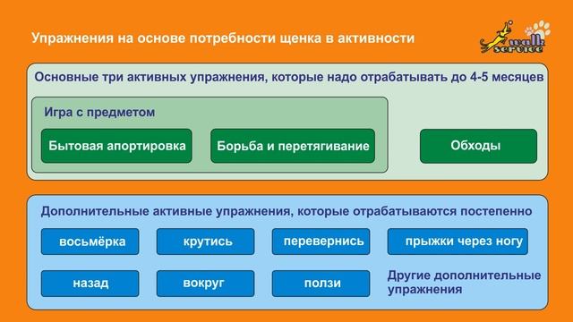 Воспитательная дрессировка щенка, Кризис зависимости и период непослушания смотреть онлайн