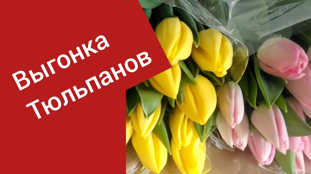 2 марта.mp4