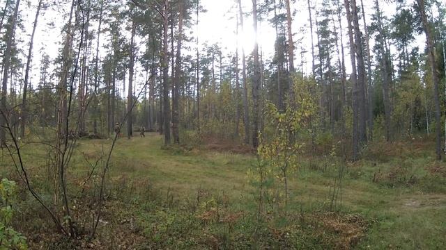 Закрытие страйкбольного сезона 2013 (Лесные Котики) смотреть онлайн