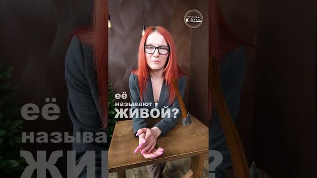 Почему когда ставят на Новый год натуральную ёлку, её называют живой? Она же уже мертвая...