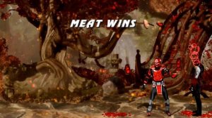 Mortal Kombat The Dragon Tournament - MEAT Gameplay Playthrough