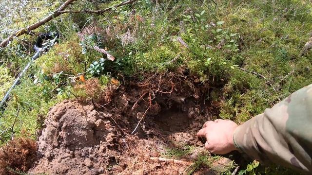 Поиск артефактов - завершение летнего сезона! C Minelab Equinox 800 смотреть онлайн