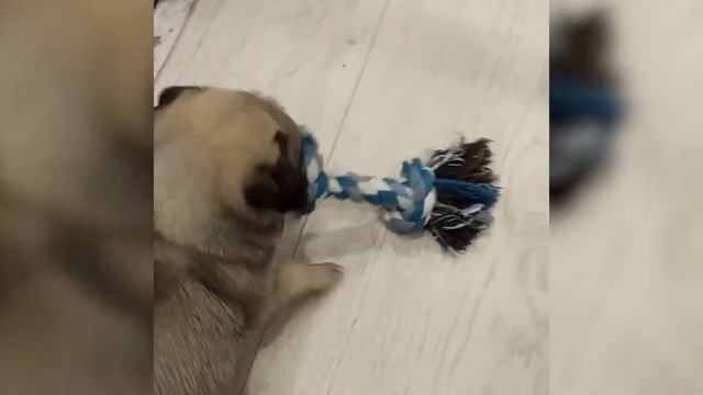 Оливье. Любимые игры с детства