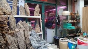 Китайская птичка. Птичий рынок Шанхая и Пекина