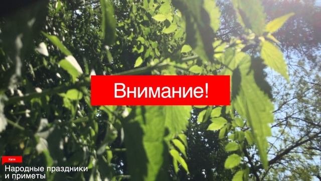 14 июня народный праздник  Народные приметы и традиции  Что делать нельзя