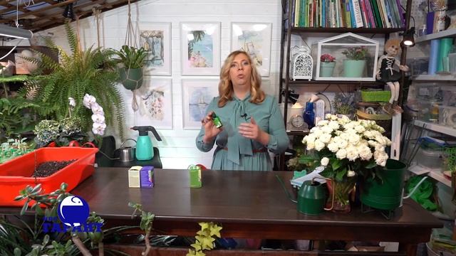 Надежная защита дачного участка от клещей, муравьев, мух, ос и других насекомых. смотреть онлайн