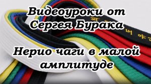 Видеоуроки от Сергея Бурака. Нерио чаги в малой амплитуде.