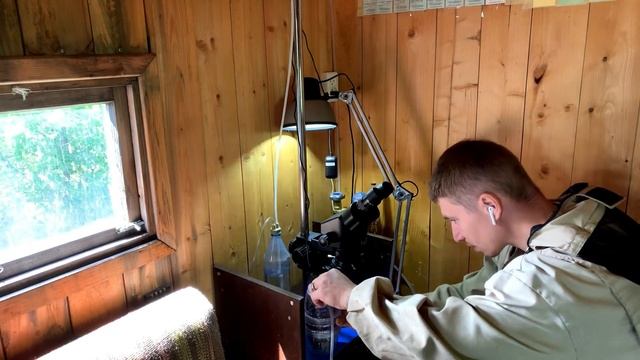 Новая методика определения заклещеванности смотреть онлайн