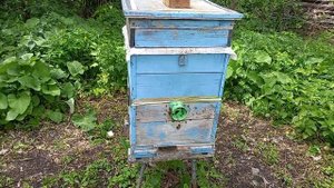 Подготовка пчелосемьи при обработке местности  гербицидами.