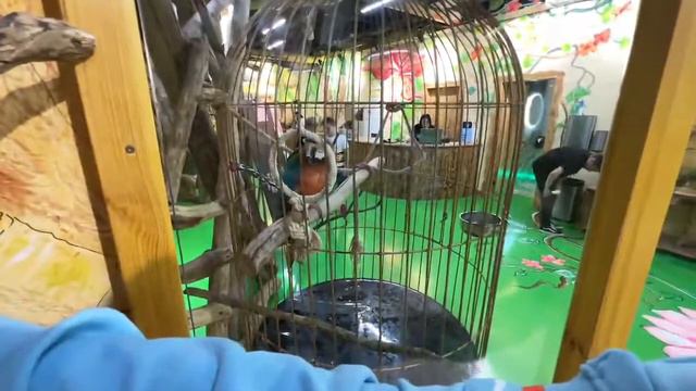 ЗЛОЙ и БАРБИ зачем-то разговаривают с котом на английском смотреть онлайн