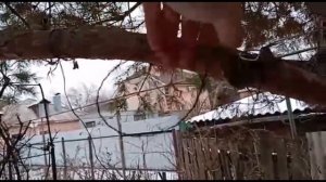 Правильная установка петли на куницу!!